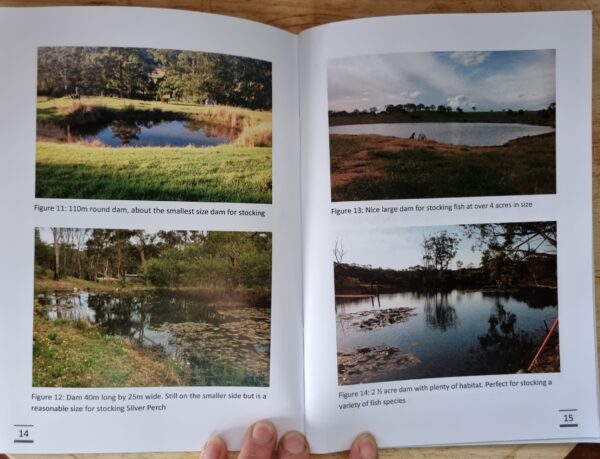 Deciding on dam size for farming fish in farm dams