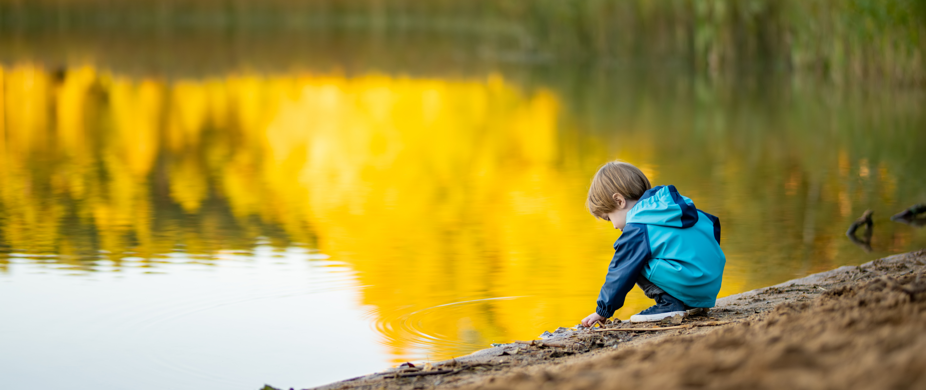 Fish for Farm Dams